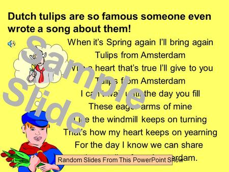When it’s Spring again I’ll bring again Tulips from Amsterdam With a heart that’s true I’ll give to you Tulips from Amsterdam I can’t wait until the day.