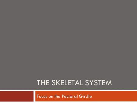 Focus on the Pectoral Girdle
