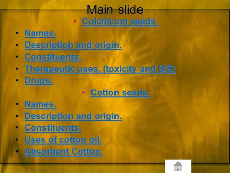 Main slide Colchicum seeds. Names. Description and origin.