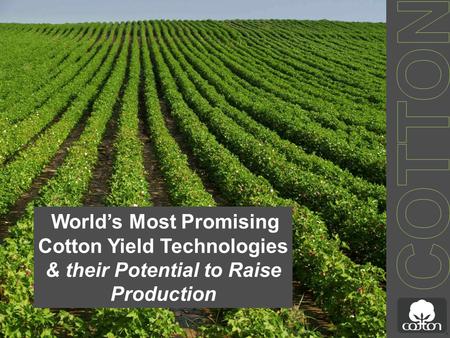 World’s Most Promising Cotton Yield Technologies & their Potential to Raise Production.