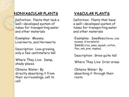 NONVASCULAR PLANTSVASCULAR PLANTS Definition: Plants that lack a well—developed system of tubes for transporting water and other materials Examples: Mosses,