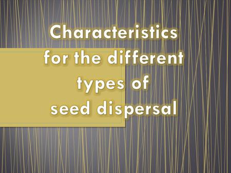 Characteristics for the different types of seed dispersal