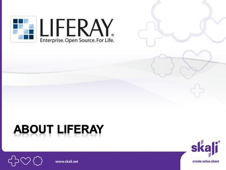“Liferay Portal has captured the strengths of the Java platform — security, maintainability and cross- platform capability — in a relatively lightweight.