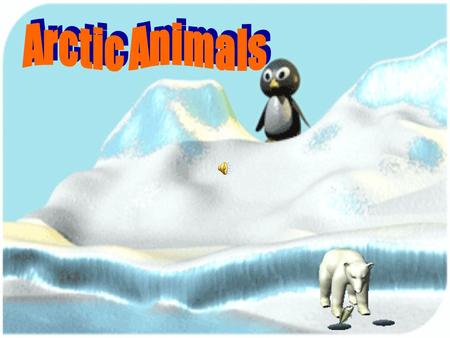 The Arctic is a very cold and often snowy area at the very top of the Earth, and includes the North Pole.