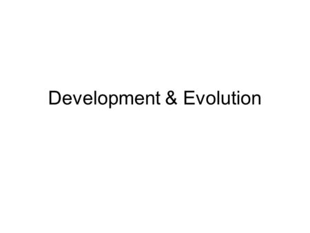 Development & Evolution. Recapitulation – “Biogenetic Law” Late 19 th Century concept of Ernst Haeckel : Ontogeny Recapitulates Phylogeny Evolutionary.