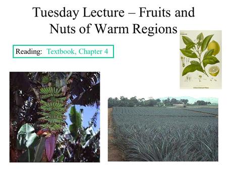 Tuesday Lecture – Fruits and Nuts of Warm Regions Reading: Textbook, Chapter 4.