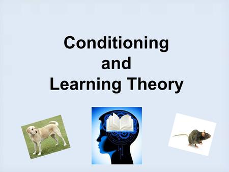 Conditioning and Learning Theory. What is Learning ? Definition: a relatively permanent change in behavior or knowledge that occurs as a result of an.