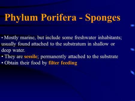 Phylum Porifera - Sponges Mostly marine, but include some freshwater inhabitants; usually found attached to the substratum in shallow or deep water. They.