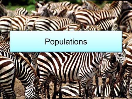 Populations. Determining a Population size How many fish can live in a pond? How Many deer can live in a forest? What factors can you think of might change.
