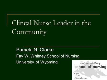 Clincal Nurse Leader in the Community Pamela N. Clarke Fay W. Whitney School of Nursing University of Wyoming.