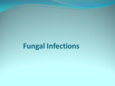 Fungal Infections. Superficial Fugal Infections Dermatophytes:ringworm Candidal spectrum:candidasis Pitryosporum:pitrysisversicolor.