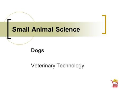 Dogs Veterinary Technology