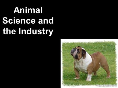 Animal Science and the Industry