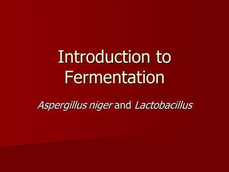 Introduction to Fermentation