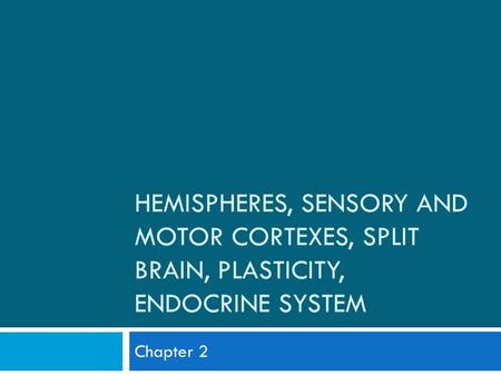 HEMISPHERES, SENSORY AND MOTOR CORTEXES, SPLIT BRAIN, PLASTICITY, ENDOCRINE SYSTEM Chapter 2.