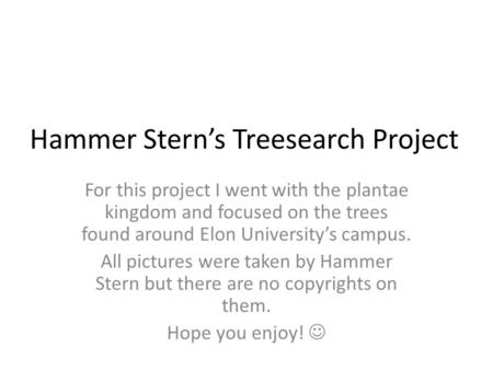 Hammer Stern’s Treesearch Project For this project I went with the plantae kingdom and focused on the trees found around Elon University’s campus. All.