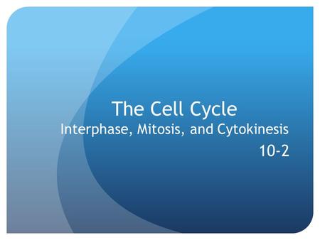 The Cell Cycle Interphase, Mitosis, and Cytokinesis 10-2.