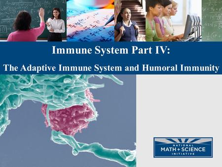 The Adaptive Immune System and Humoral Immunity