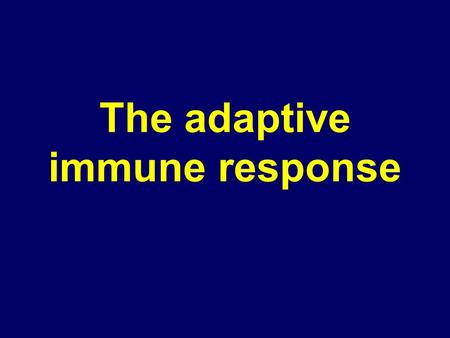 The adaptive immune response. Adaptive immune system The adaptive immune response is different from the innate immune response in that it has specificity.