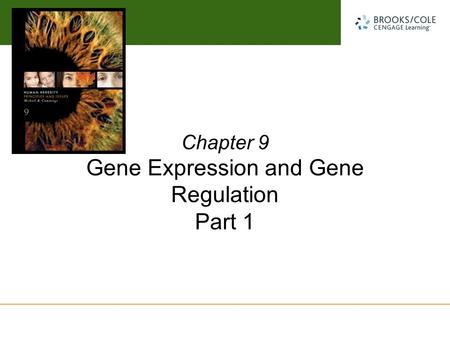 Gene Expression and Gene Regulation Part 1