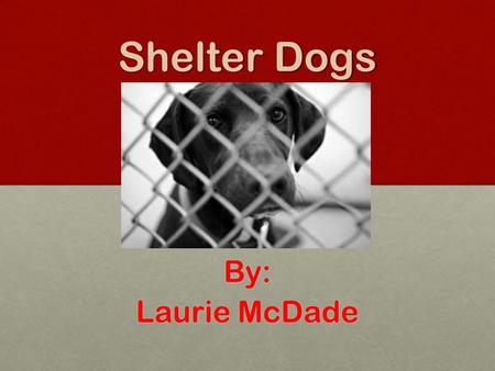 Shelter Dogs By: Laurie McDade. Objectives To utilize the tools learned in my Basics of Computing class to educate others about adopting pets from shelters.
