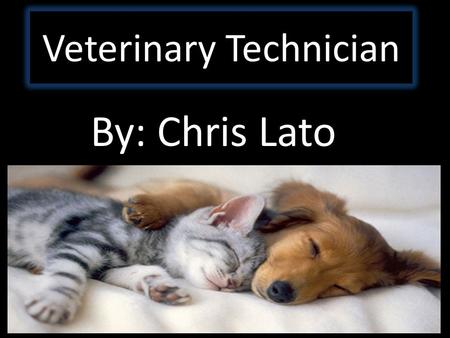 Veterinary Technician By: Chris Lato.  I have always liked animals and know a lot about them.  They are fun to play with and good to have around because.
