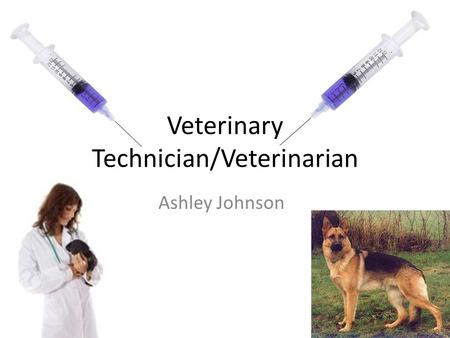 Veterinary Technician/Veterinarian Ashley Johnson.