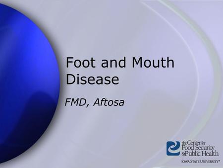 Foot and Mouth Disease FMD, Aftosa.