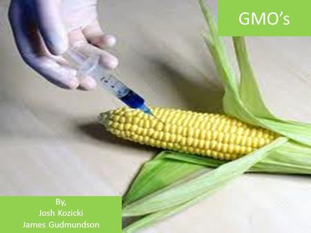 GMO’s By, Josh Kozicki James Gudmundson. What Are GMO’s Genetic Modification is technology that alters the genetic makeup of organisms such as animals,
