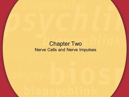 Chapter Two Nerve Cells and Nerve Impulses. Cells of the Nervous System Neurons and Glia The Structures of an Animal Cell Membrane-a structure that separates.