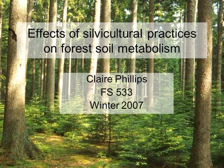 Effects of silvicultural practices on forest soil metabolism Claire Phillips FS 533 Winter 2007.
