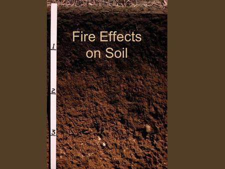 Fire Effects on Soil. What are the Functions of Soil within Ecosystems? Provides a medium for plant growth and supplies nutrients Regulates the hydrologic.