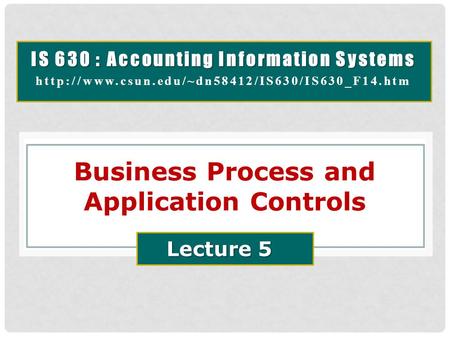 Business Process and Application Controls