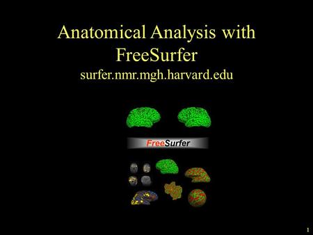 Anatomical Analysis with FreeSurfer surfer.nmr.mgh.harvard.edu