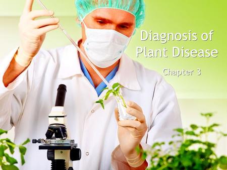 Diagnosis of Plant Disease