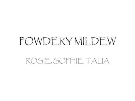 POWDERY MILDEW ROSIE, SOPHIE, TALIA. Table of Contents Procedure……………………………………..3 Materials………………………………………4 Hypothesis……………………………………5 Data and Data Analysis……………….....6-11.