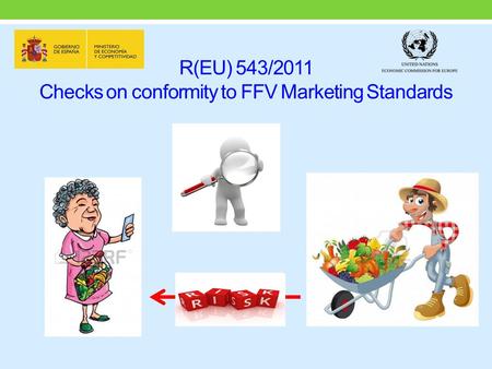 R(EU) 543/2011 Checks on conformity to FFV Marketing Standards.