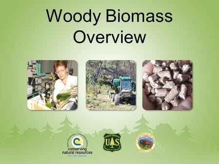 Woody Biomass Overview. Energy Demand Worldwide demand for fossil fuels projected to increase dramatically over the next 20 years. The U.S. has relatively.