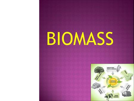 BIOMASS.  Biomass is a biological material derived from living, or recently living organisms. This often means plant based material, but biomass can.