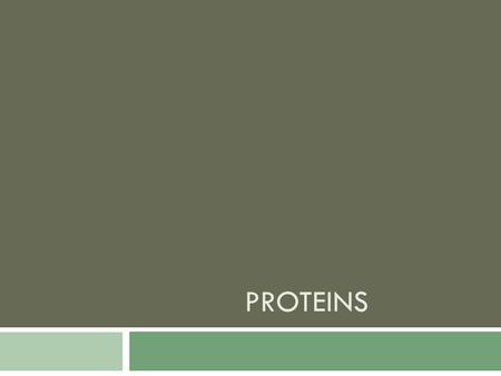 PROTEINS. Proteins  Major macromolecule made from chains of amino acids (C, N, H, O).  Responsible for building the body and carrying out functions.