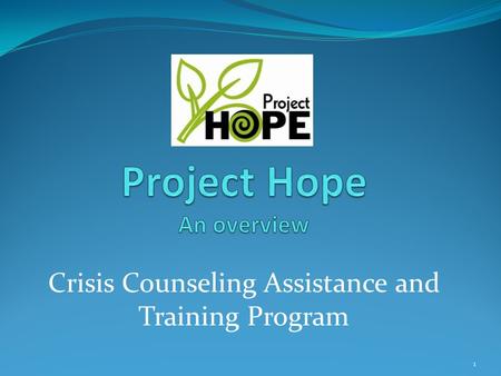 Crisis Counseling Assistance and Training Program 1.
