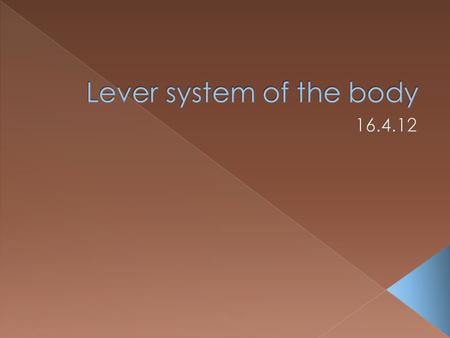 Lever system of the body