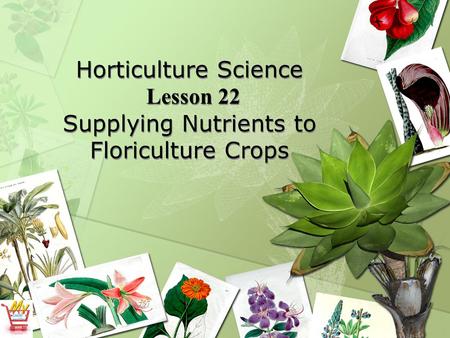 Horticulture Science Lesson 22 Supplying Nutrients to Floriculture Crops.
