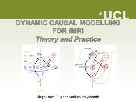 DYNAMIC CAUSAL MODELLING FOR fMRI Theory and Practice