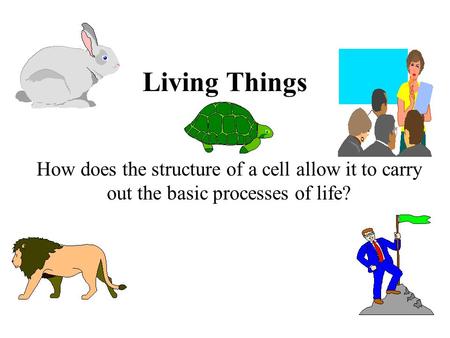 Living Things How does the structure of a cell allow it to carry out the basic processes of life?