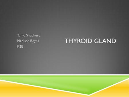 THYROID GLAND Tanya Shepherd Madison Reyna P.2B.  Located in neck, superior to the trachea  Shaped like butterfly wings.  Weighs less than an ounce.