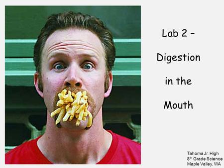 Lab 2 – Digestion in the Mouth Tahoma Jr. High 8 th Grade Science Maple Valley, WA.