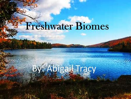 Freshwater Ecosystems By: Abigail Tracy Freshwater Biomes By: Abigail Tracy.