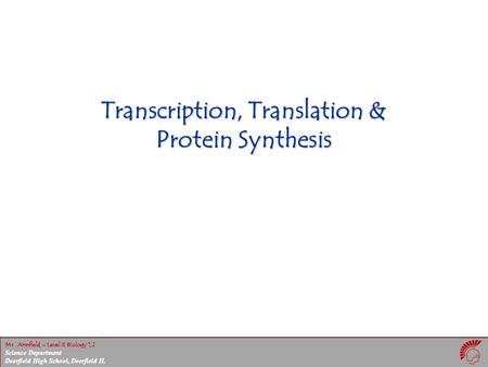 Mr. Armfield – Level II Biology 1,2 Science Department Deerfield High School, Deerfield IL Transcription, Translation & Protein Synthesis.
