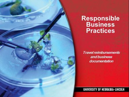 Responsible Business Practices Travel reimbursements and business documentation.